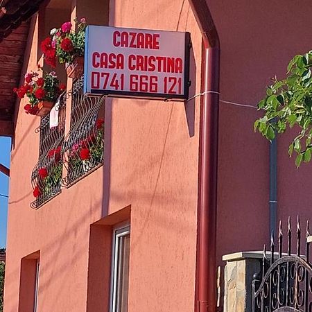 Hotel Casa Cristina à Cîrţişoara Extérieur photo
