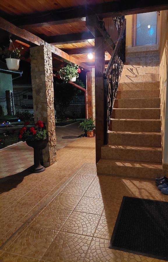 Hotel Casa Cristina à Cîrţişoara Extérieur photo