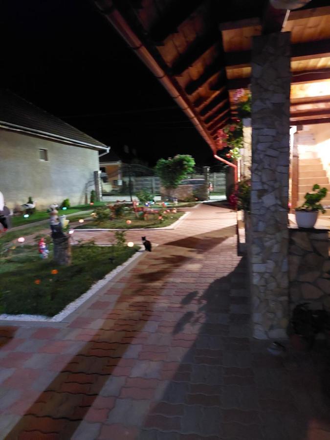 Hotel Casa Cristina à Cîrţişoara Extérieur photo