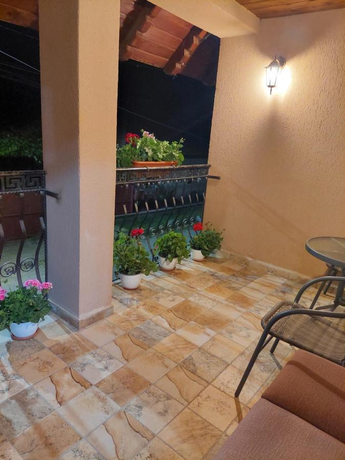 Hotel Casa Cristina à Cîrţişoara Extérieur photo