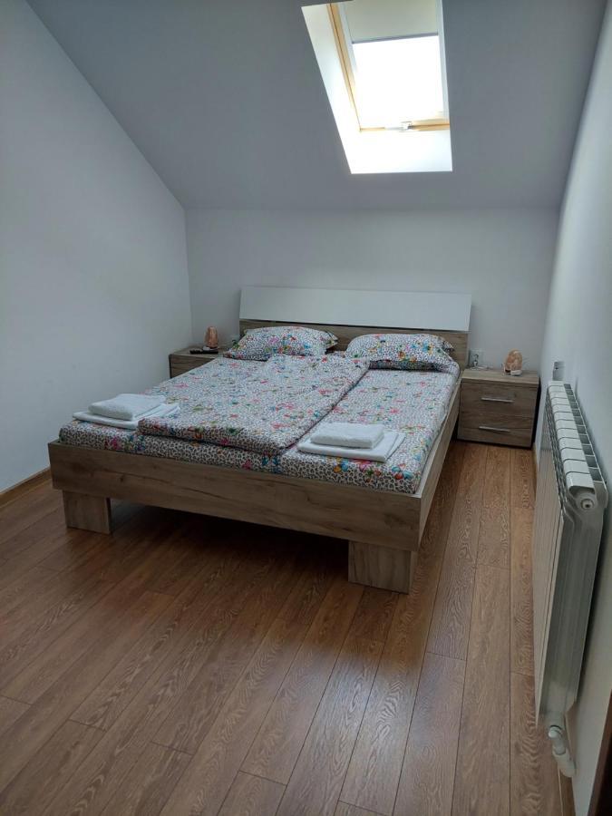 Hotel Casa Cristina à Cîrţişoara Extérieur photo