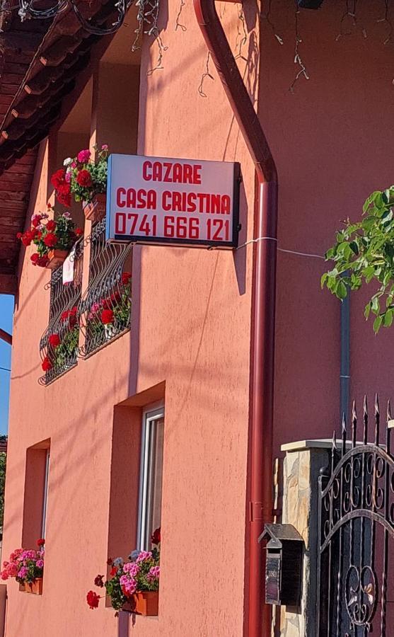 Hotel Casa Cristina à Cîrţişoara Extérieur photo