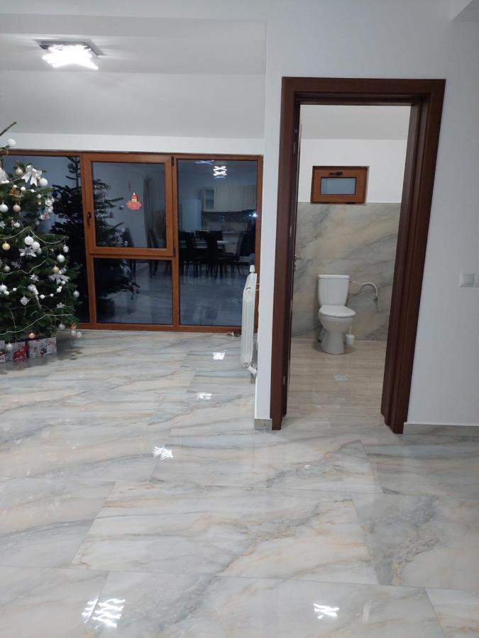 Hotel Casa Cristina à Cîrţişoara Extérieur photo