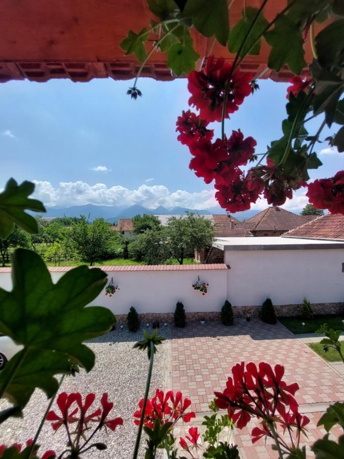 Hotel Casa Cristina à Cîrţişoara Extérieur photo