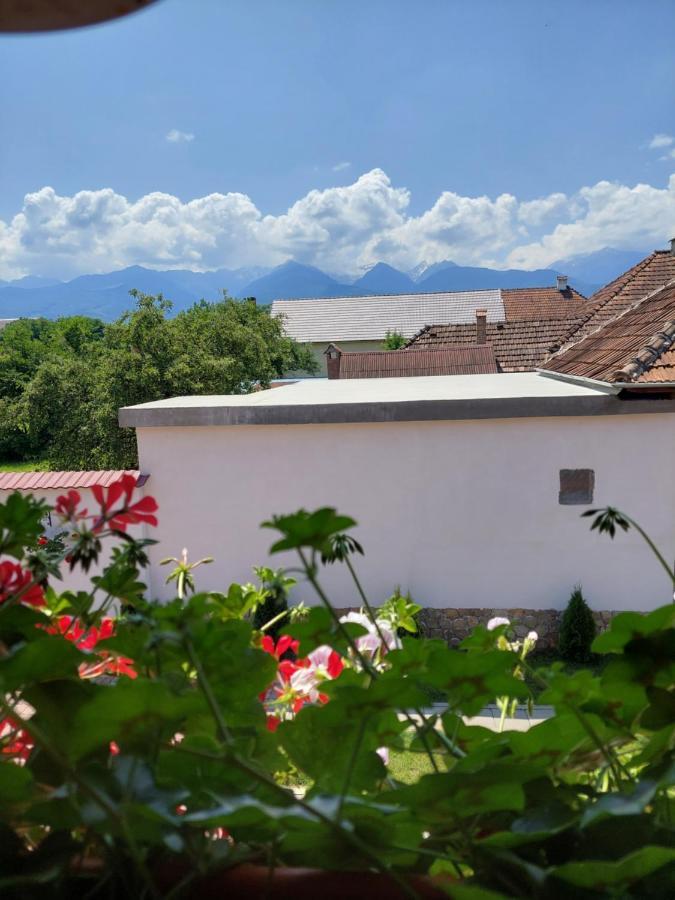 Hotel Casa Cristina à Cîrţişoara Extérieur photo