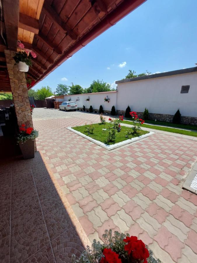 Hotel Casa Cristina à Cîrţişoara Extérieur photo