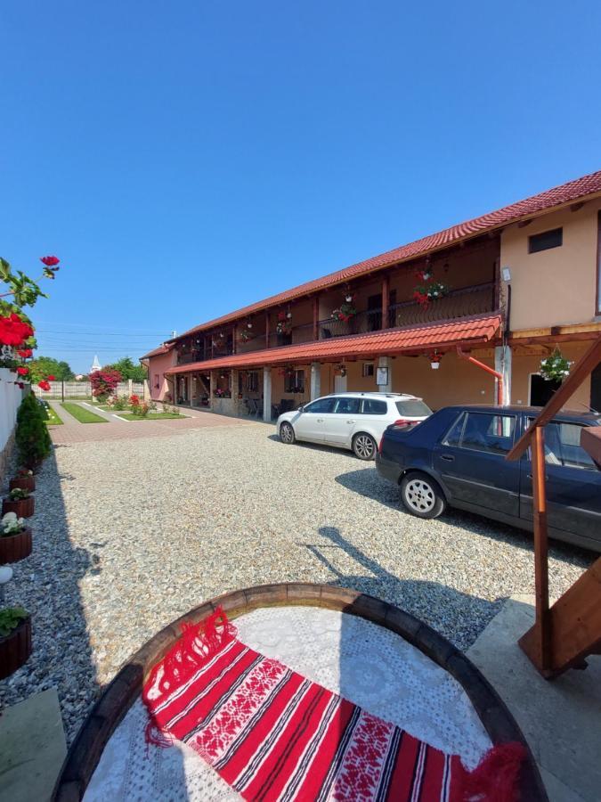 Hotel Casa Cristina à Cîrţişoara Extérieur photo