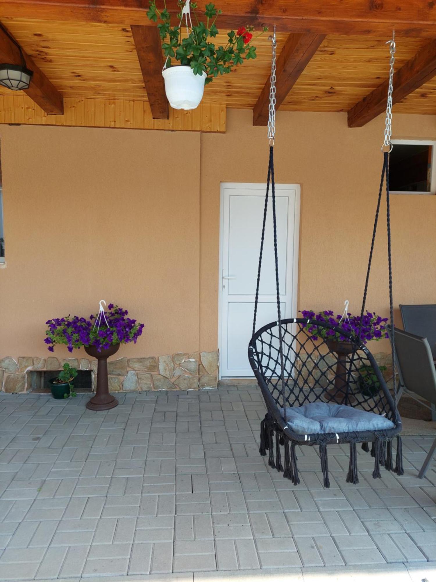 Hotel Casa Cristina à Cîrţişoara Extérieur photo