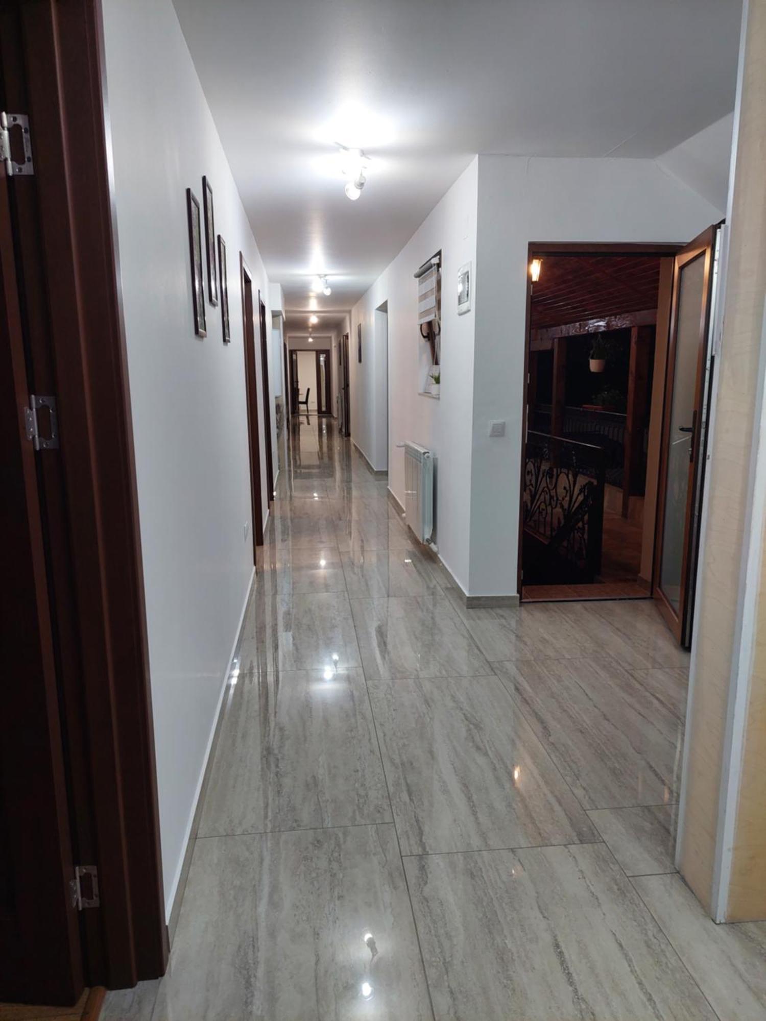 Hotel Casa Cristina à Cîrţişoara Extérieur photo